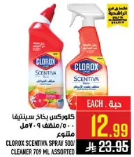 كلوركس سناكتيفا بخاخ 500 مل متنوع.