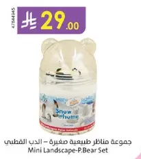 Mini Landscape-P.Bear Set
