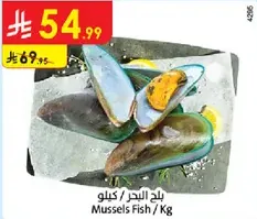 بلح البحر / كيلو