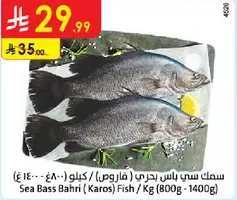 Sea Bass Bahri (Karos) Fish / Kg (800g - 1400g)