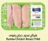 صدور دجاج رضوي