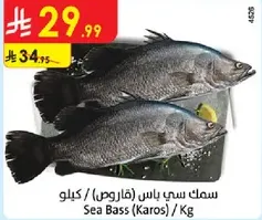 سمك سي باس (كاروس) / كيلو