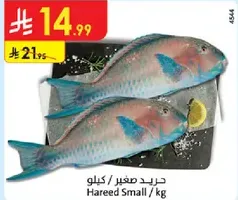 Small Hareed fish sold by kg.