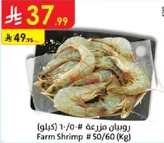 روبيان مزرعه # 50/60 (كيلو)