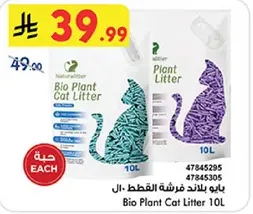 بايو بلاند فرشه القطط - ال