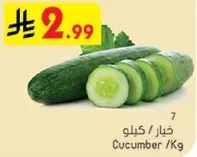 Cucumber / Kg