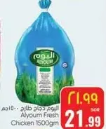 اليوم دجاج طازج 1500 جرام