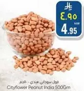 Cityflower Peanut India 500Gm