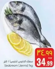 سمك الدنيس (جنيس) 1 كجم