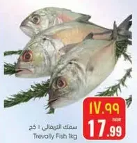 سمك التريفيلي 1 كجم