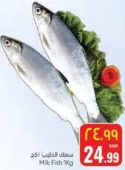 سمك الحلاب 1 كجم