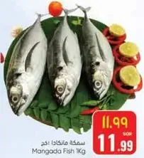 سمكه مالنغادا 1 كجم