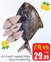 سمكه البومفريت السوداء 1 كجم