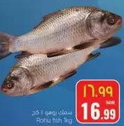 سمك روهي 1 كغ