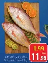 سمك بوري احمر صغير