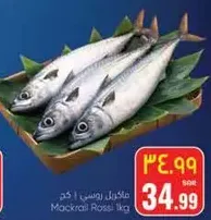 Mackerel Rossi 1 kg