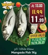 سمكه مالانغادا 1 كجم