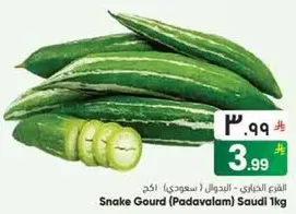 القثاء الخياري / السعودي 1 كجم
