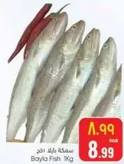 Bayla Fish 1 Kg