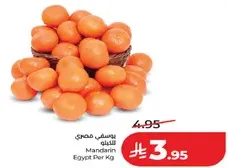 يوسفي مصري للكيلو