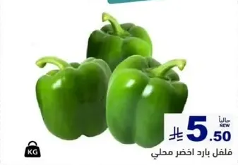 فلفل بارد اخضر محلي