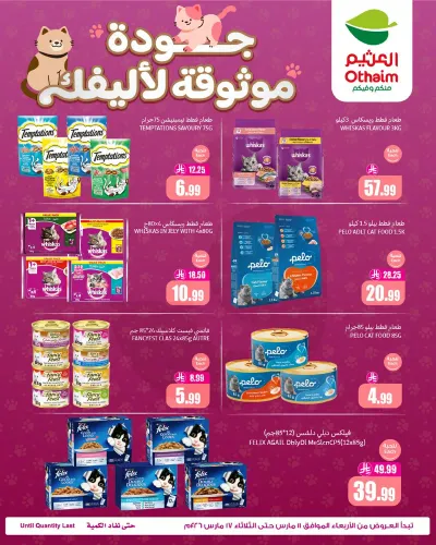 عروض طعام القطط