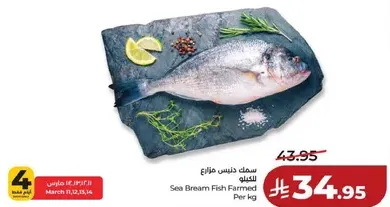 Sea Bream Fish Farmed Per kg