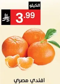 افندي مصري.