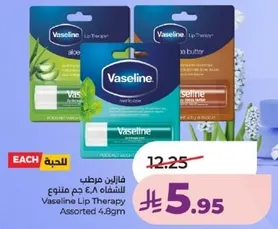 فازلين مرطب للشفتين 4.8 جرام متنوع