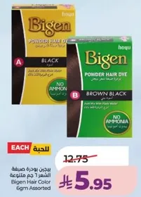 Bigen Hair Color 6gm Assorted