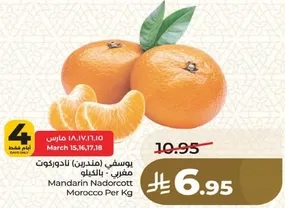 يوسفي (مندرين) نادوركوت مغربي.