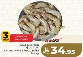 روبيان مزراع مذاب 50/60 للكيلو