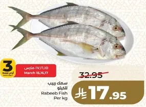 سمك ربيب للكيلو