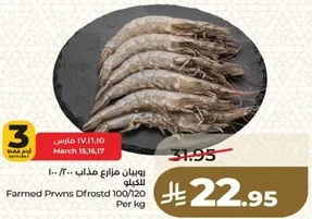 روبيان مزارع مذاب للكيلو