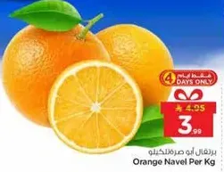 برتقال ابو صرمالكحيلو