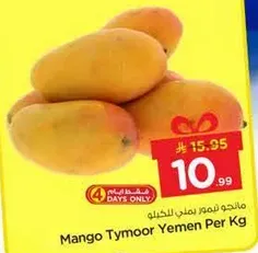 مانجو تيمور يمني لكل كيلو