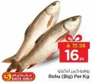 روهو (كبير) لكل كجم