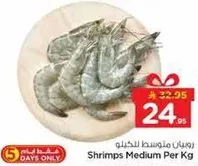 روبيان متوسط للخيار.