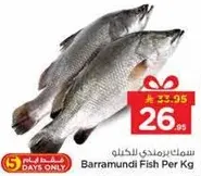سمك برمندي للكغم