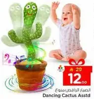 الصبار الراقص متنوع