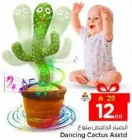 Dancing Cactus Assorted