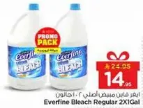 Everfine Bleach Regular 2X1Gal
