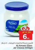 Al Ameen Glass Jar Cheese 500gm