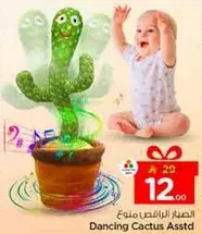 الصبار الراقص متنوع