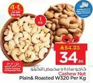 كاجو ساده ومحمص