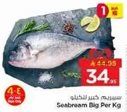 سيريم كبير للخلو