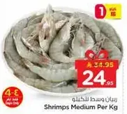 روبيان متوسط الحجم لكل كيلو