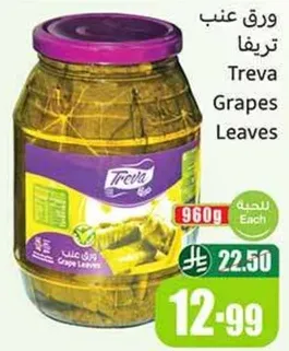 ورق عنب تريفا