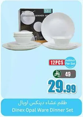 Dinex Opal Ware Dinner Set
