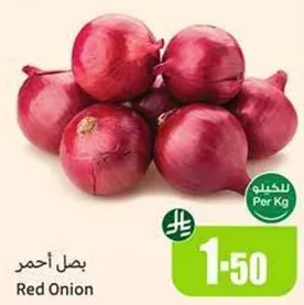 Red Onion
